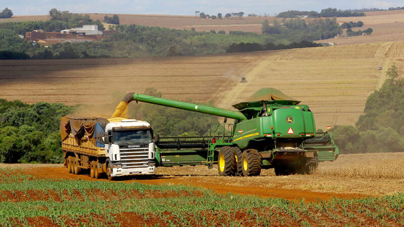 Safra de 2025 é recorde e previsão para 2026 é 1,8% menor.