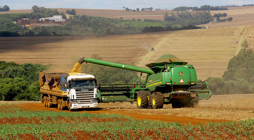 Safra de 2025 é recorde e previsão para 2026 é 1,8% menor.