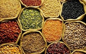 Em dezembro, IBGE prevê safra de 346,1 milhões de toneladas para 2025 e de 339,8 milhões de toneladas para 2026.