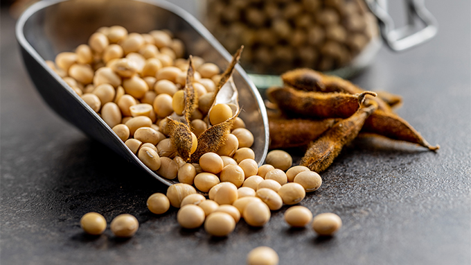 ABIOVE destaca que país pode alcançar recorde no esmagamento de soja em 2026.