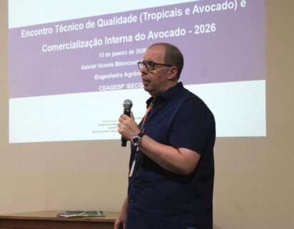 CEAGESP sedia encontro técnico sobre qualidade e comercialização do avocado.