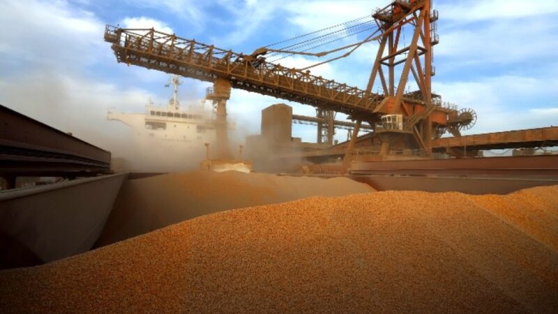 Exportações de milho do Brasil iniciam 2026 em alta, com Irã na liderança e alerta para tensões geopolíticas.