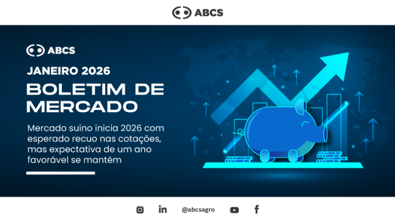 Mercado suíno inicia 2026 com esperado recuo nas cotações, mas expectativa de um ano favorável se mantém.