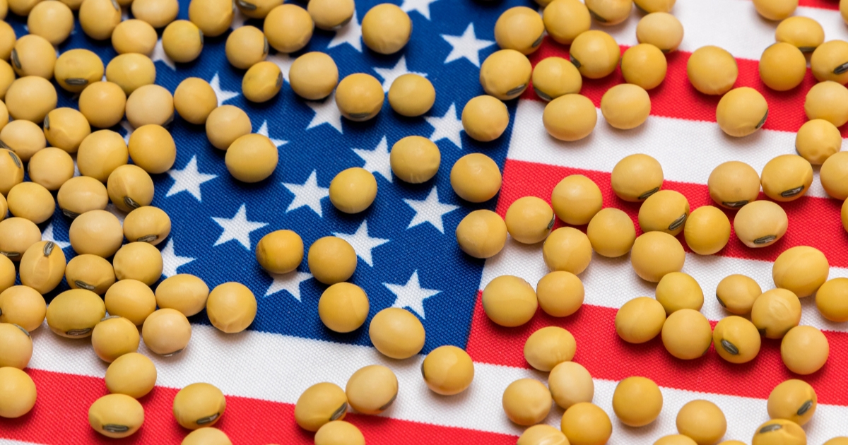 USDA projeta queda na produção de milho e reforça avanço da soja nos EUA em 2026/27.