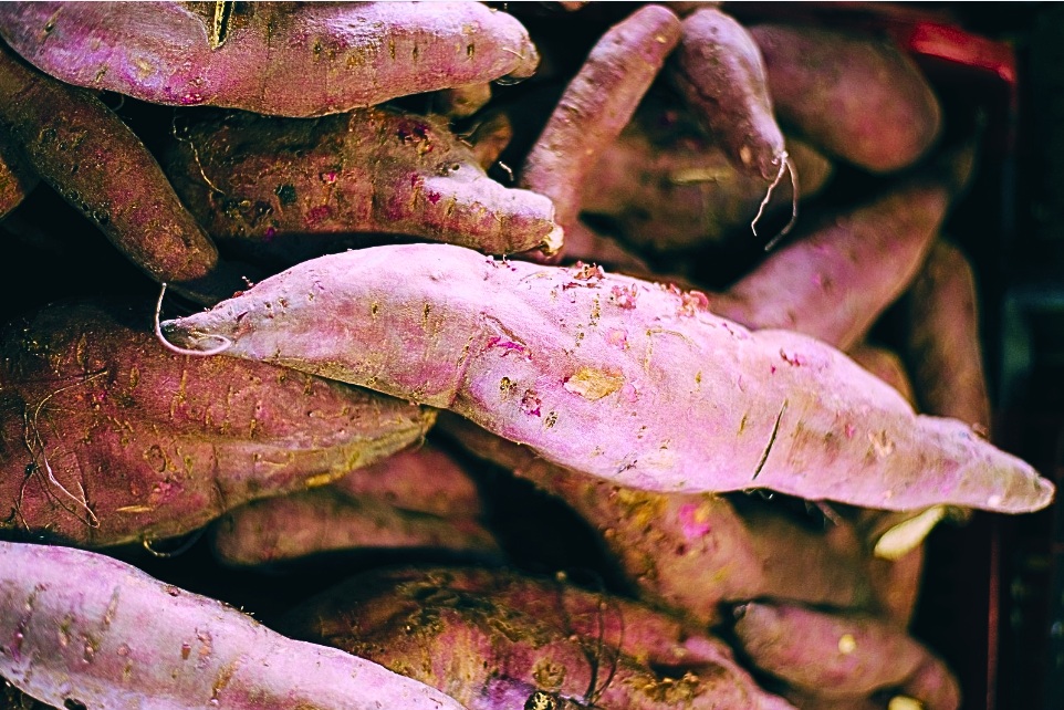 Batata-doce roxa: alimento nutritivo com forte presença no mercado da Ceasa-CE.