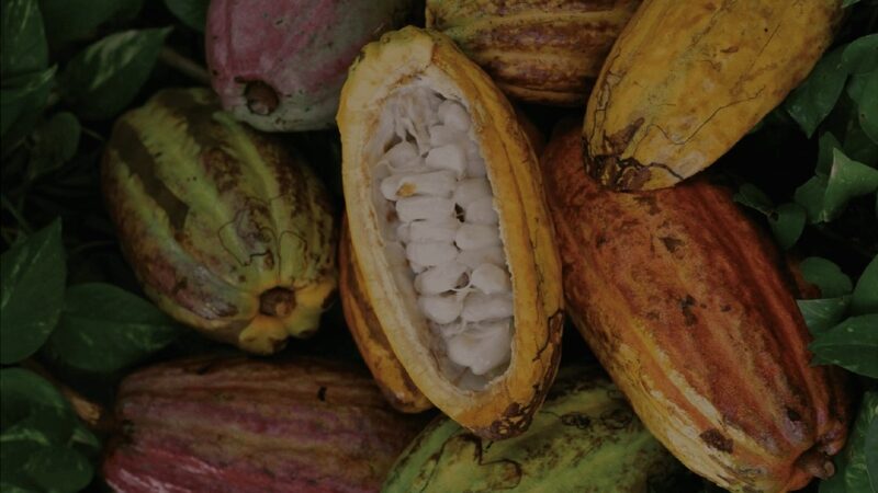 O Futuro do Presente.