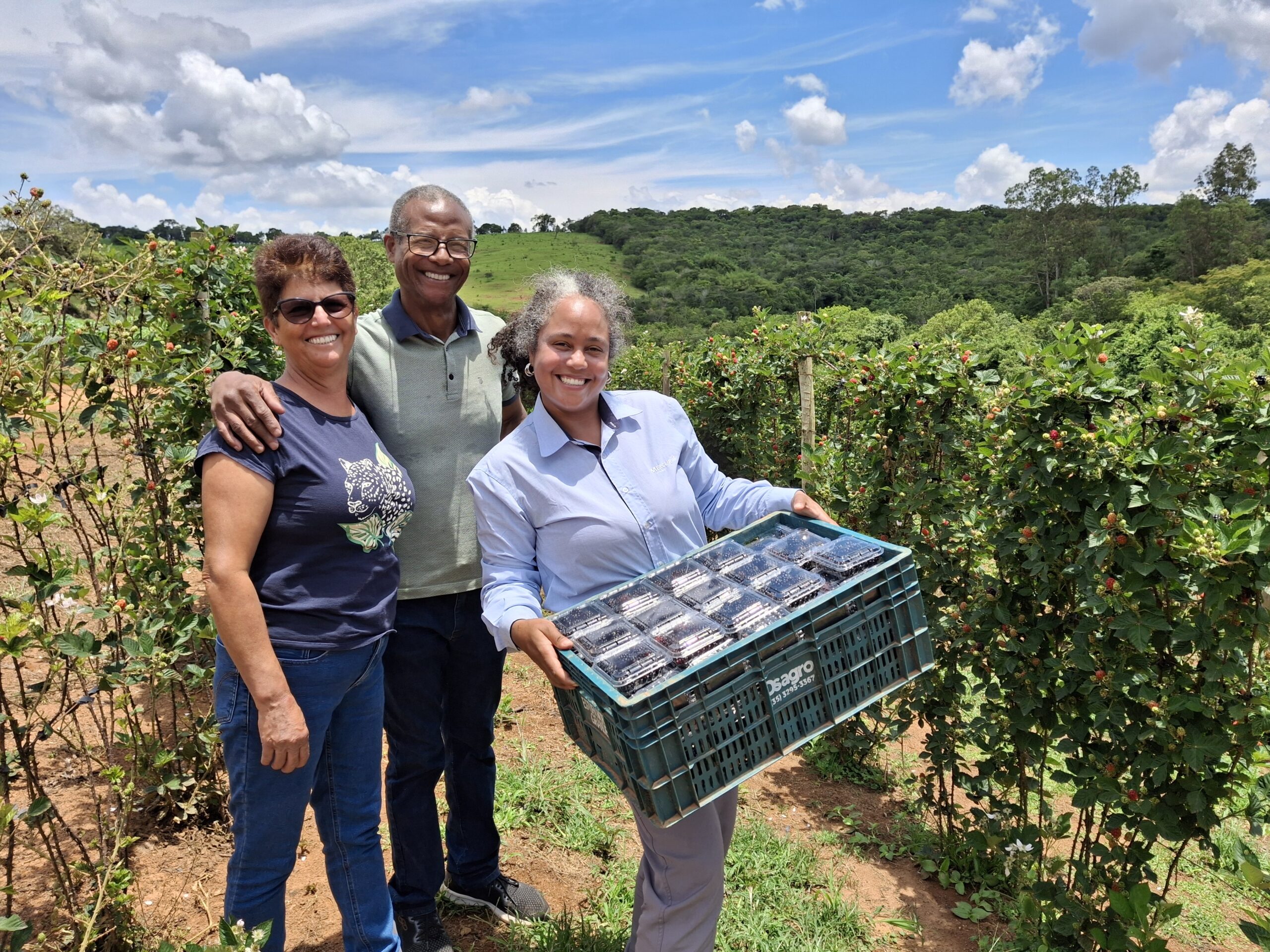ATeG consolida produção de frutas vermelhas em Machado.