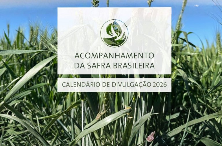 Confira o calendário de 2026 de levantamentos das safras agrícolas e do mercado hortigranjeiro.