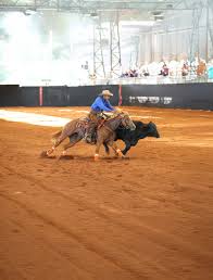 Programação do 35º Congresso Brasileiro de Conformação & Trabalho é divulgada com mais de R$ 3 milhões em premiação e retorno das Provas AQHA.