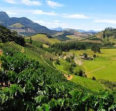 Vem aí o encontro ‘Agro – A Força de Minas’.