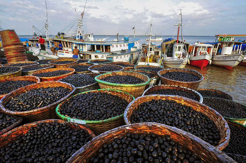 Açaí é reconhecido em lei como fruta nacional.