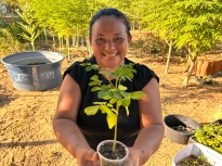 Balanço 2025: conheça 7 resultados importantes da cooperação da FAO no Brasil no último ano.