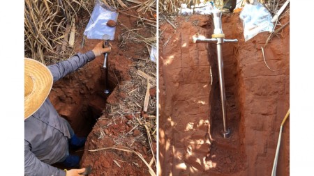 Brasil perdeu 1,4 bilhão de toneladas de carbono do solo por conversão de áreas naturais à agricultura.