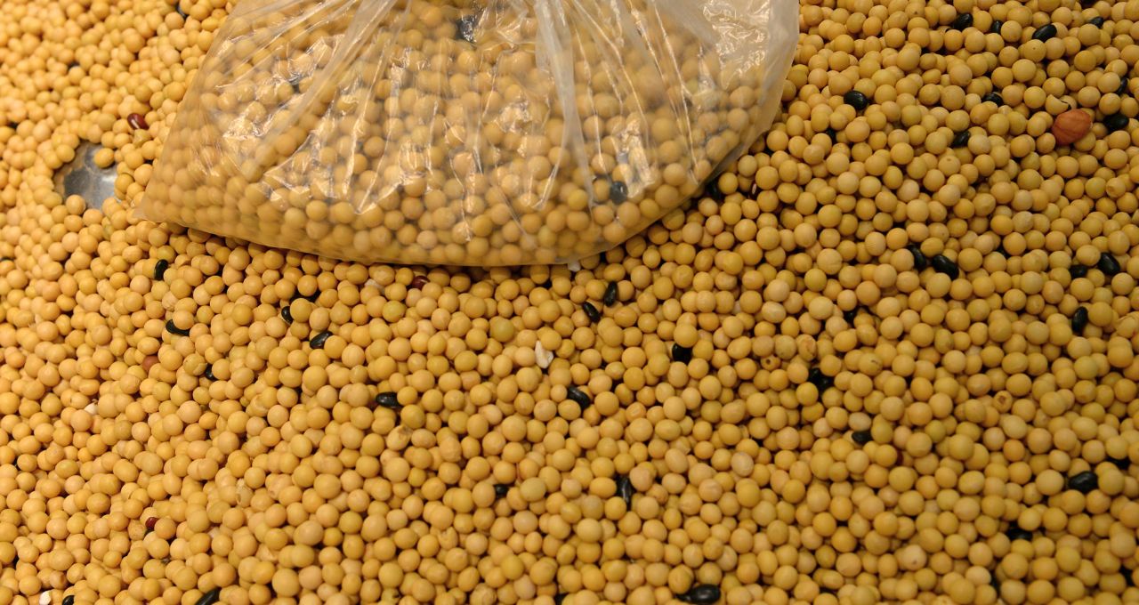 Soja atinge maior valor em 3 meses por China e expectativas sobre biocombustíveis.