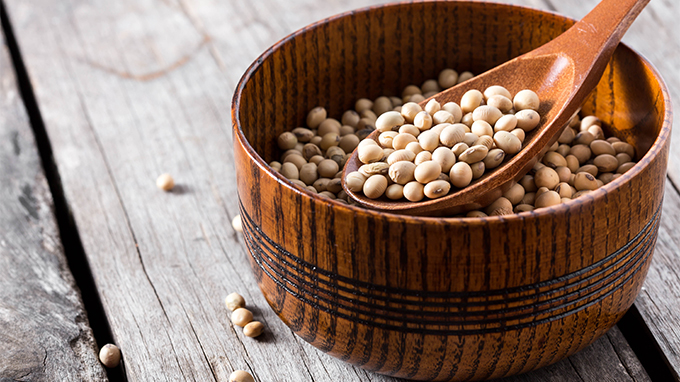 SOJA/CEPEA: Cotações se estabilizam neste começo de mês.