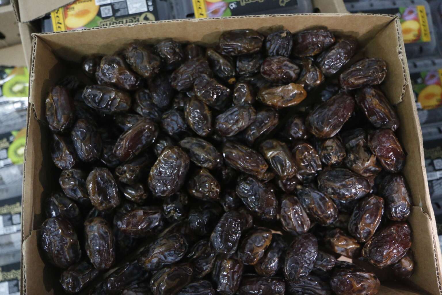 Tâmara: o fruto nutritivo que ganha destaque nas festas de fim de ano.