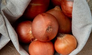 CEBOLA/CEPEA: Plantios no Cerrado avançam, mas problemas em 2025 já refletem em queda de área.