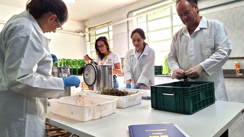 Safra de vinhos 2026 começa a ser avaliada no laboratório de referência do Estado.
