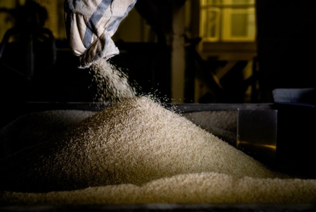 México deve ampliar importação de arroz para 880 mil toneladas na safra 2026/27, projeta USDA.