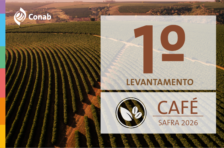 Primeira estimativa da Conab aponta para uma produção de café de 66,2 milhões de sacas de café em 2026.