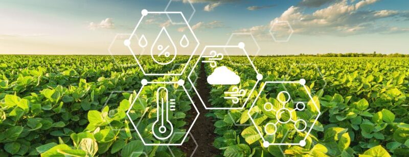 Benefícios da Agricultura de Precisão.