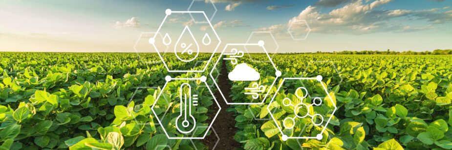 Benefícios da Agricultura de Precisão.