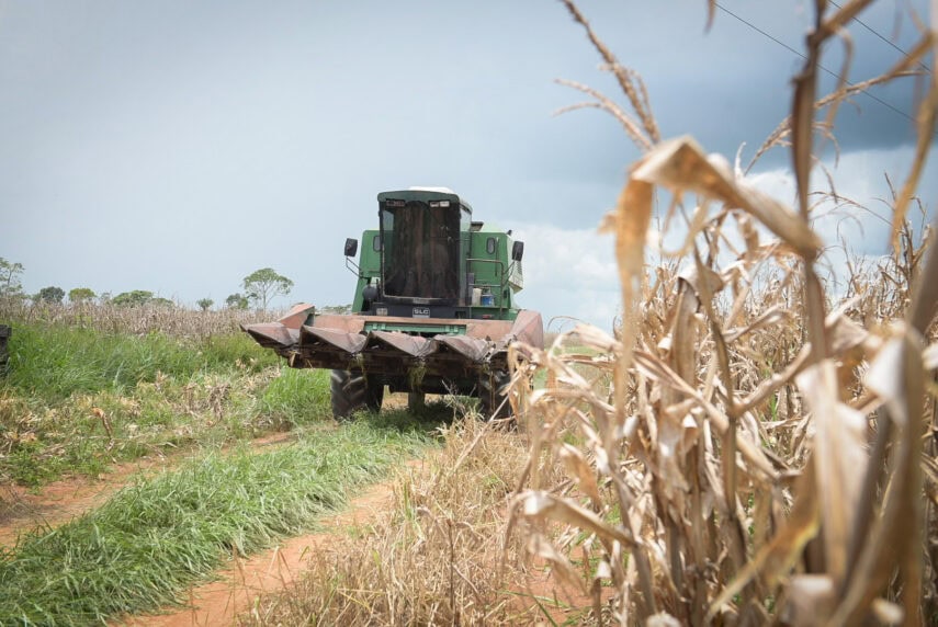 Com avanço potencial para 231 mil toneladas, Acre desponta nacionalmente com projeção de crescimento na produção de grãos.
