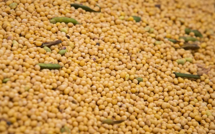 CNA defende aumento imediato da mistura de biodiesel ao óleo diesel para 17%.