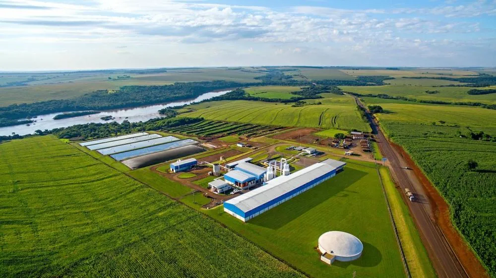 Planejamento da safra de mandioca 2026 é iniciado na região Oeste e exige organização dos produtores.