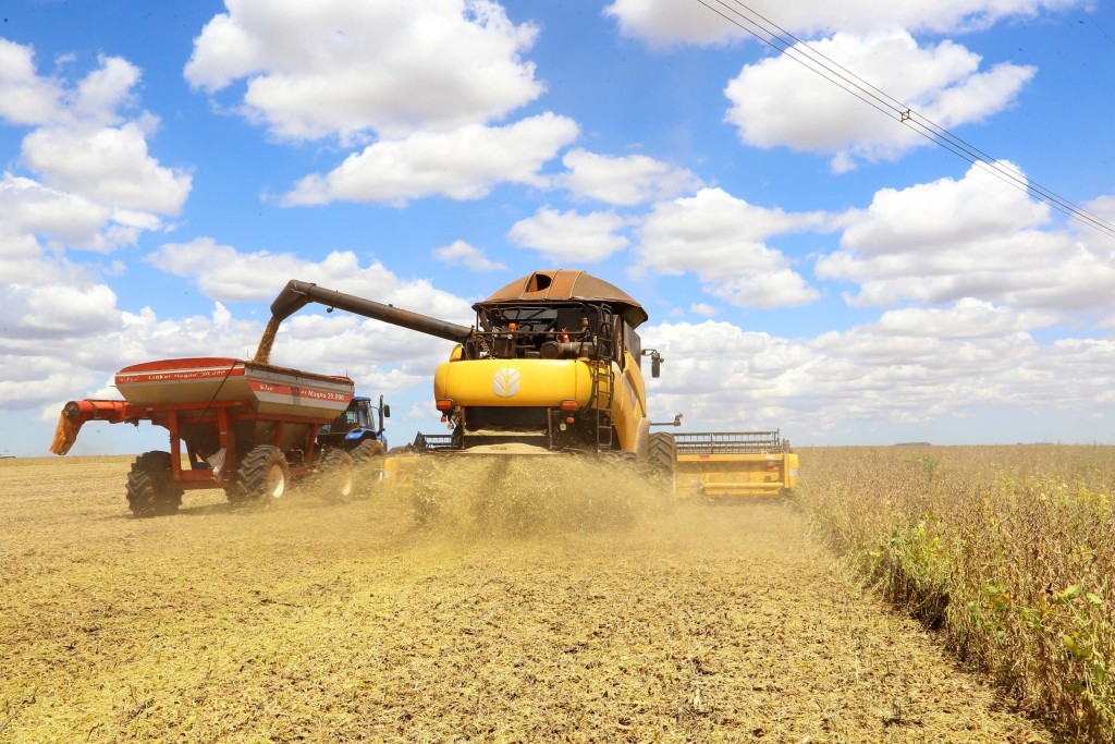 Colheita da soja em MT chega a 99% e safrinha está totalmente plantada.