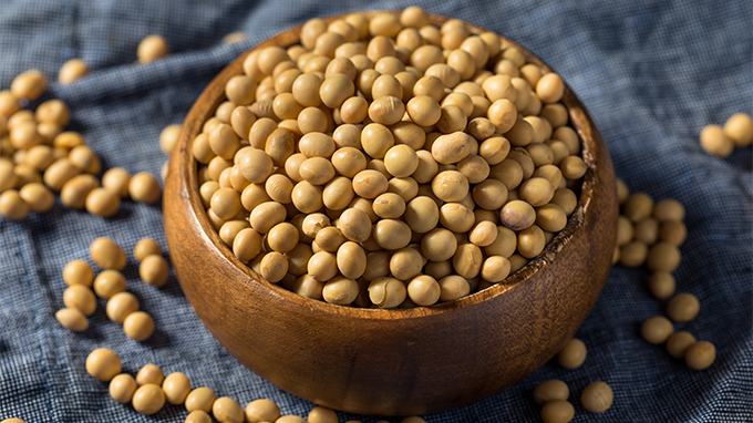 Soja acumula alta de 2% no porto de Paranaguá.