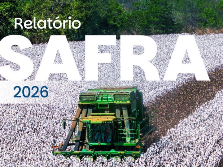 Brasil mantém liderança global nas exportações de algodão, apesar de recuo na produção, aponta Relatório de Safra da Abrapa.